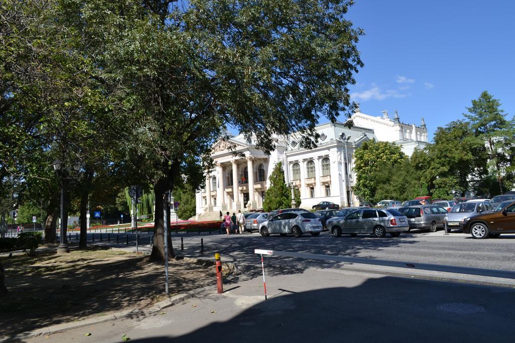 Casa De Oaspeti Sfantul Nicolae Yaş Dış mekan fotoğraf