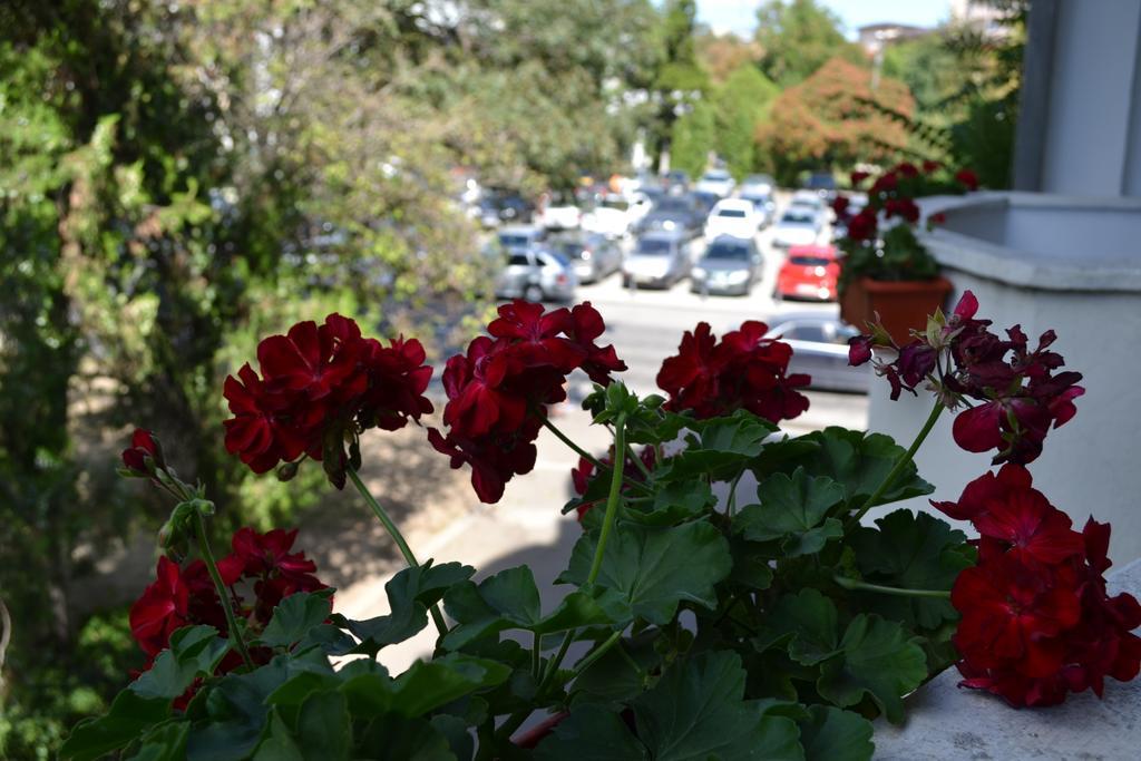 Casa De Oaspeti Sfantul Nicolae Yaş Dış mekan fotoğraf